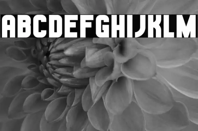 Hestia Flame Font examples