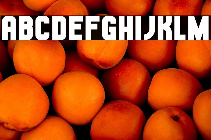 Hestia Flame Example 3