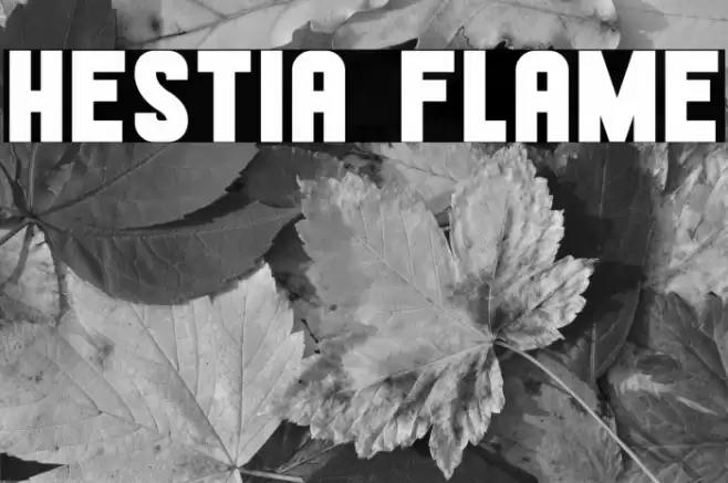 Hestia Flame Font examples