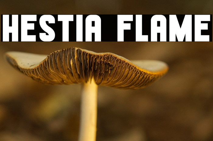 Hestia Flame Example 3