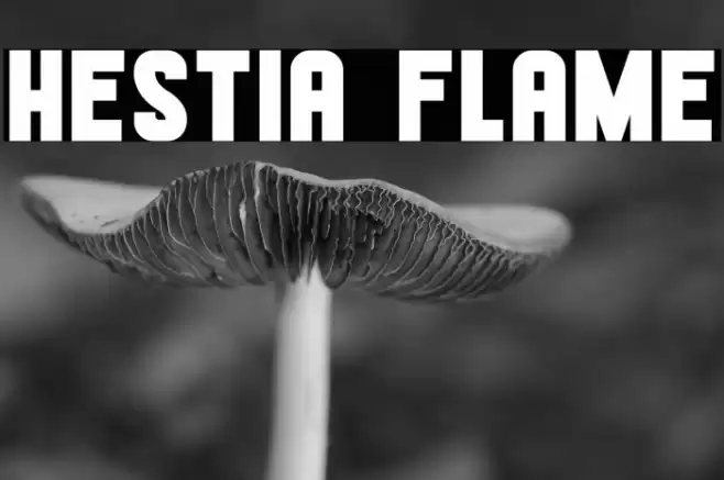 Hestia Flame Font examples