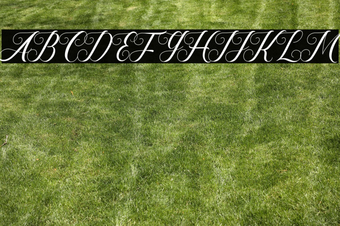 Hesty Aqaky Example 1