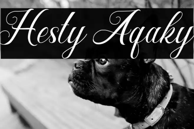 Hesty Aqaky Font examples