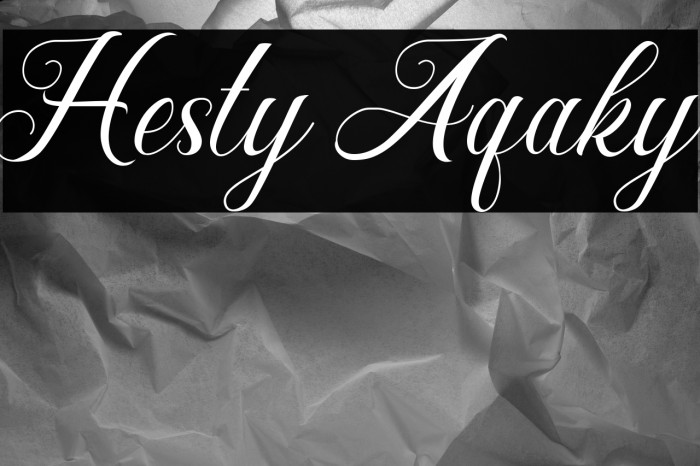 Hesty Aqaky Example 3