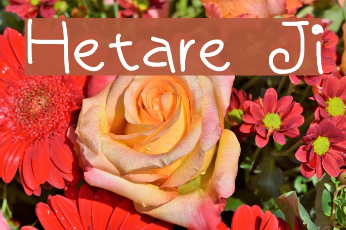 Hetare Ji Font examples