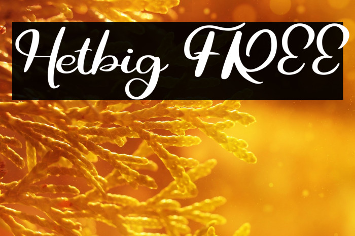 Hetbig FREE Example 3