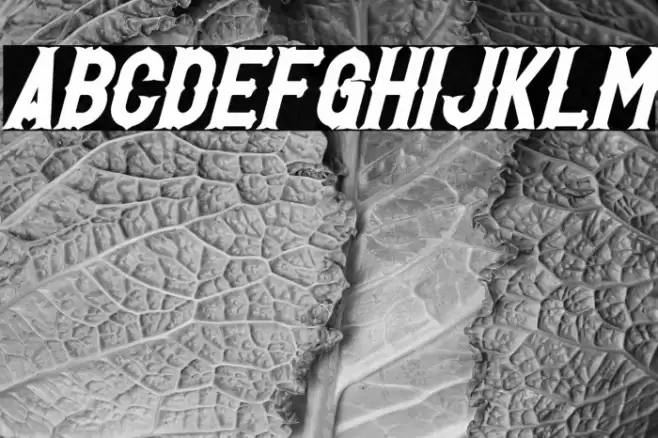 Hetfield Bold Font examples