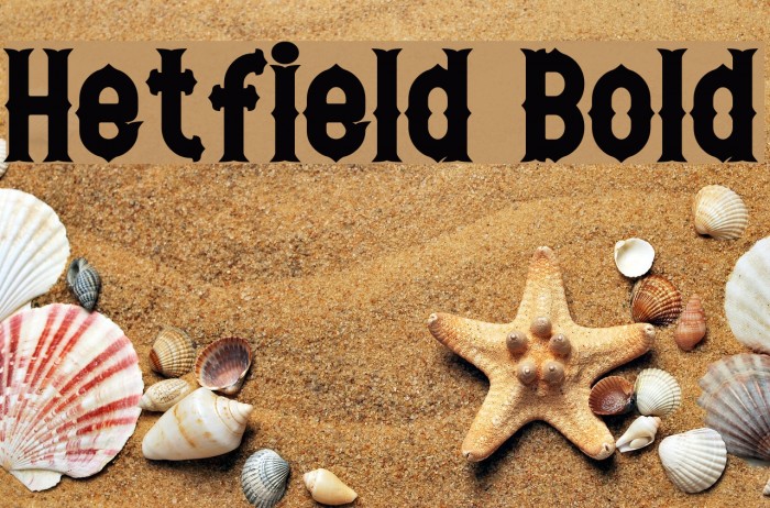 Hetfield Bold Font examples