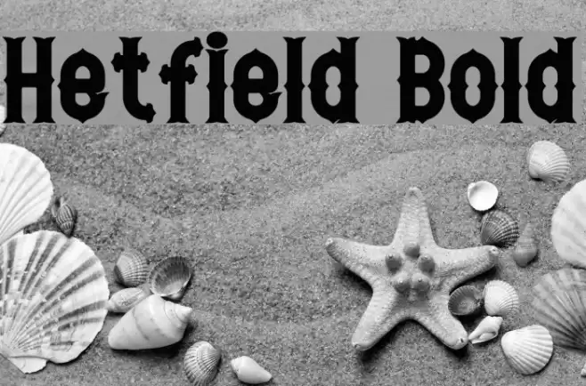 Hetfield Bold Schriftart examples