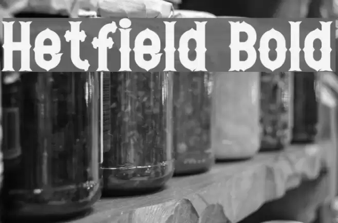 Hetfield Bold Schriftart examples