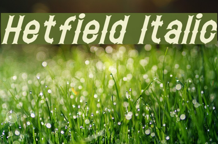 Hetfield Italic Font examples