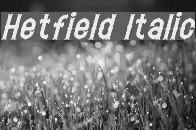 Hetfield Italic Font examples