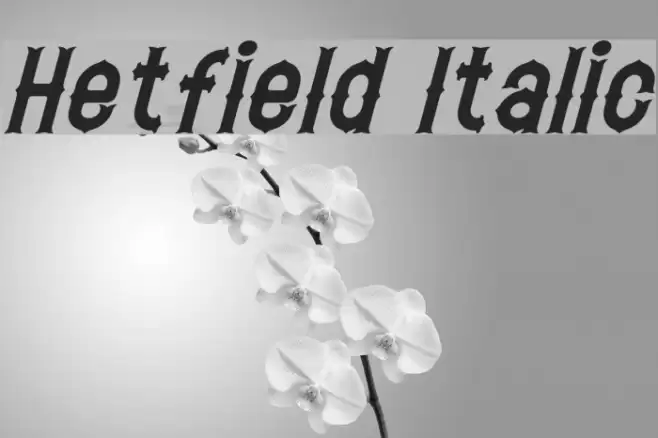 Hetfield Italic Font examples