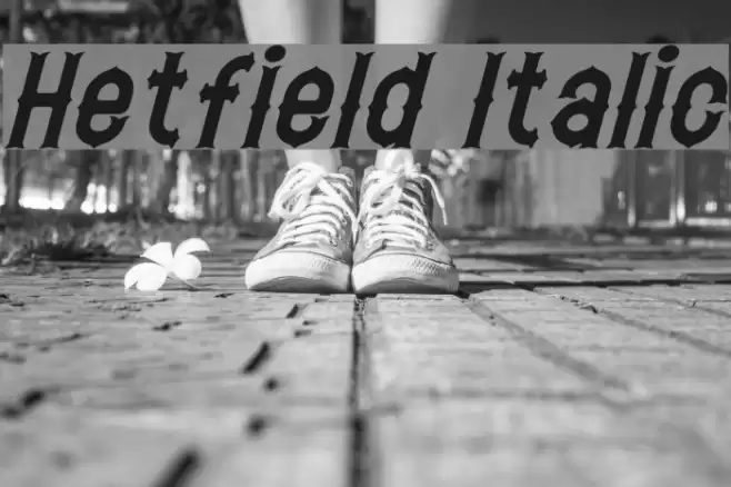 Hetfield Italic Font examples