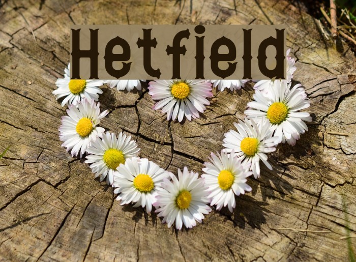 Hetfield Font examples