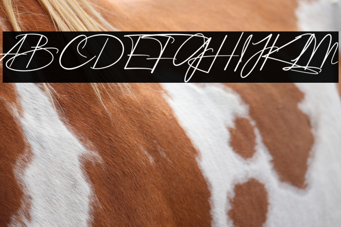 Hethany Signature Example 2