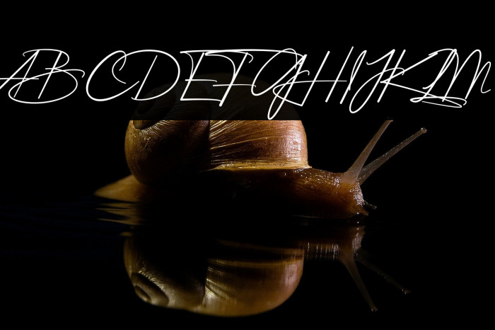 Hethany Signature Example 3