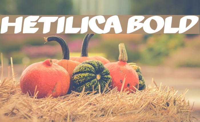 Hetilica Bold Font examples