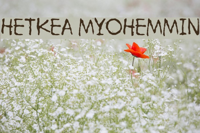 Hetkea Myohemmin Font examples