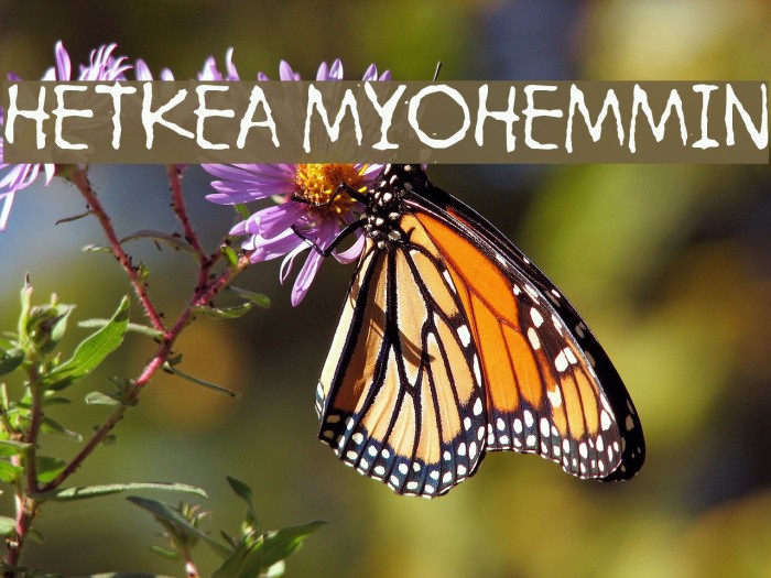 Hetkea Myohemmin Font examples