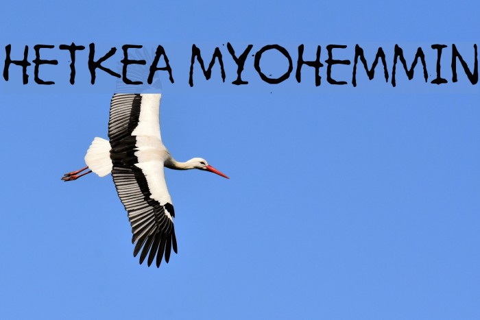 Hetkea Myohemmin Font examples
