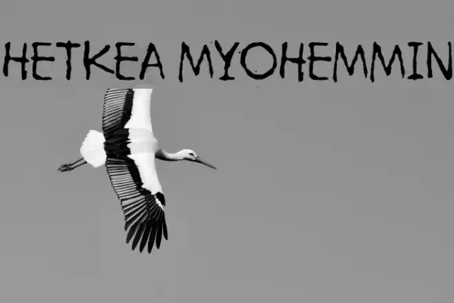 Hetkea Myohemmin Font examples
