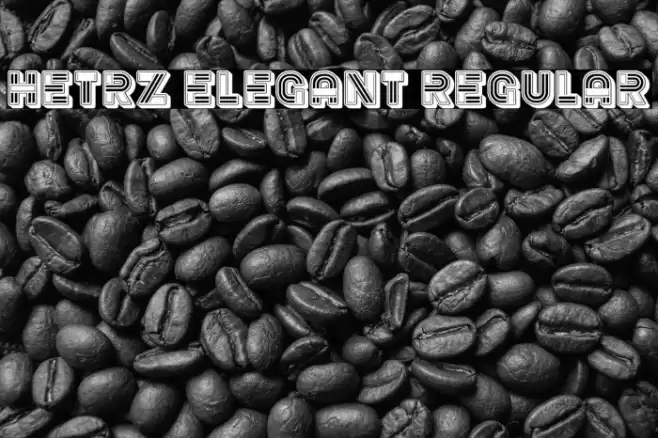 Hetrz Elegant Regular Font examples