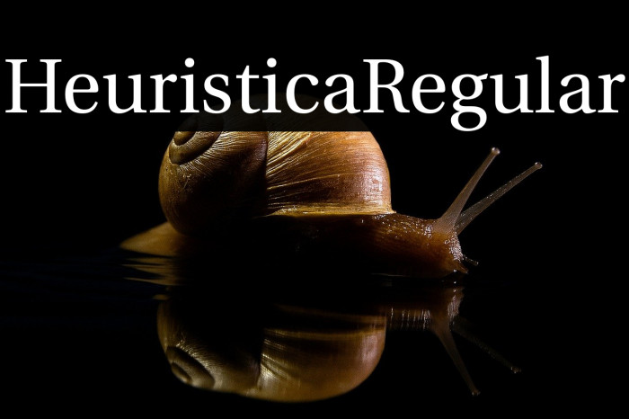 Heuristica Regular Example 3