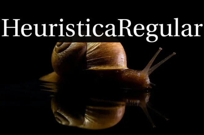 Heuristica Regular Example 3
