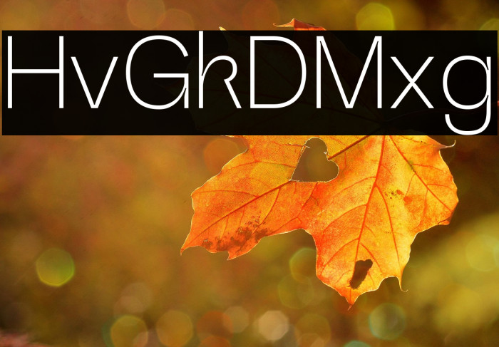 Heuvel Grotesk DEMO Extra Light Example 2