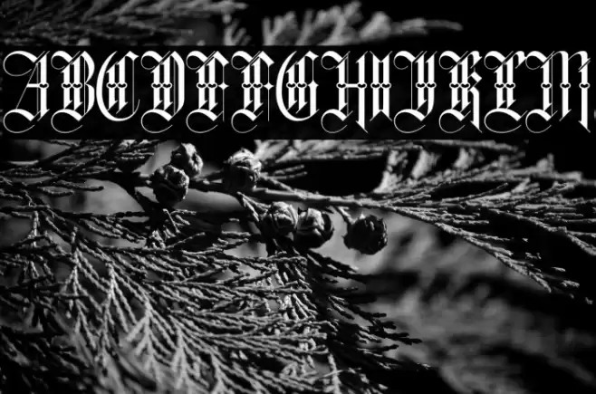 Hewalk Font examples