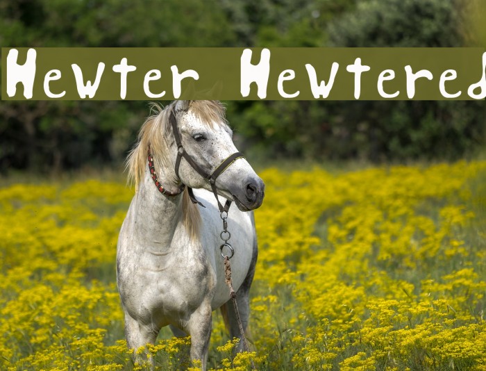 Hewter Hewtered Example 2