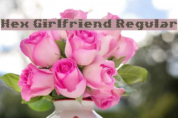 Hex Girlfriend Regular Font examples