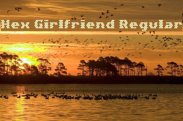 Hex Girlfriend Regular Font examples