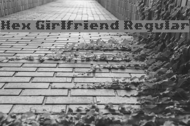 Hex Girlfriend Regular Font examples
