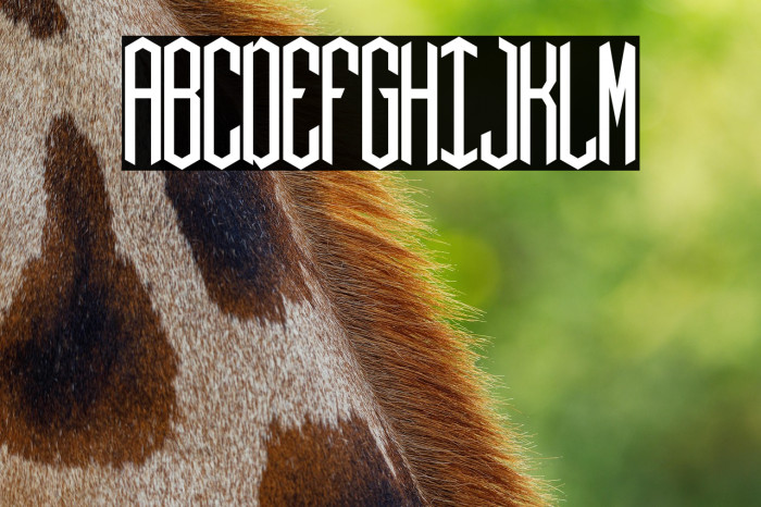 Hex monograms Example 3