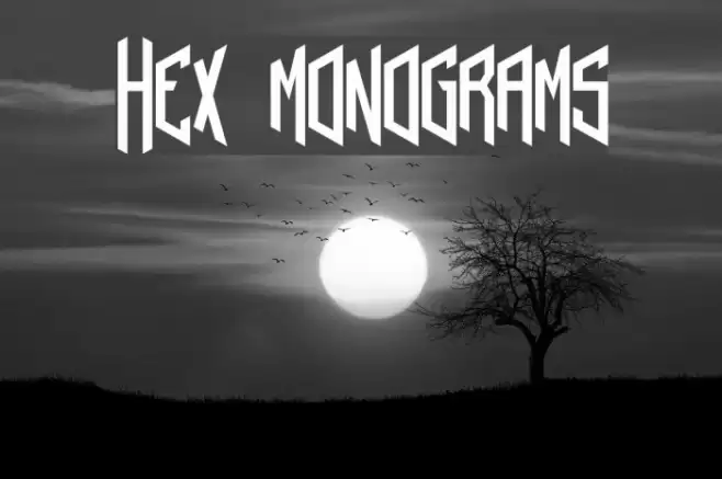 Hex monograms Font examples