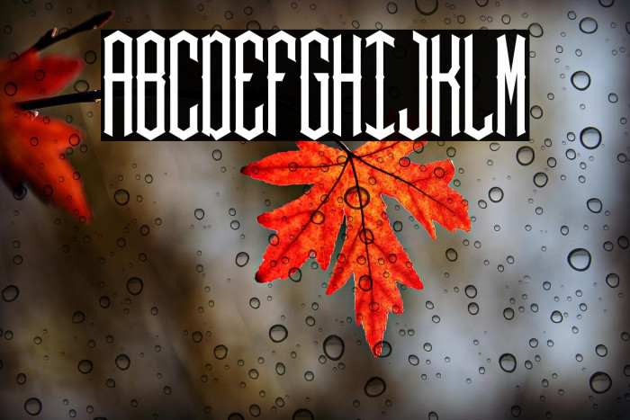 Hex ornate Example 2