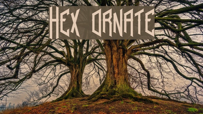 Hex ornate Font examples
