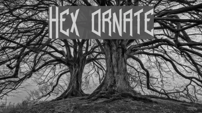 Hex ornate Font examples