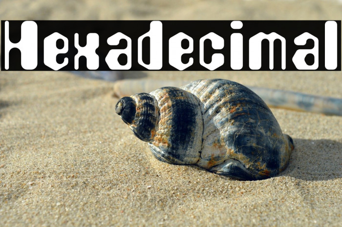 Hexadecimal Example 3