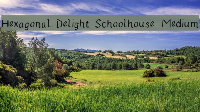 Hexagonal Delight Schoolhouse Medium Font examples