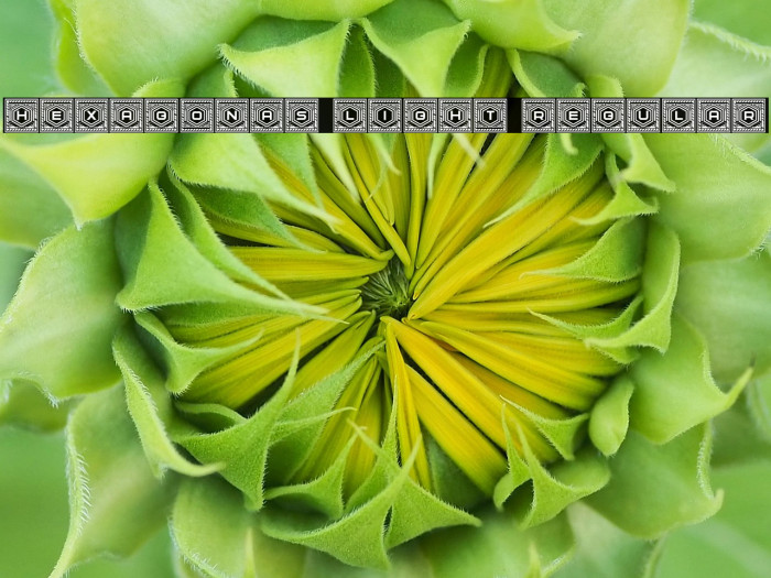 Hexagonas Light Regular Example 3