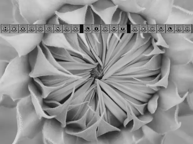 Hexagonas Light Regular Font examples