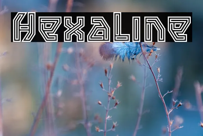 Hexaline Example 1