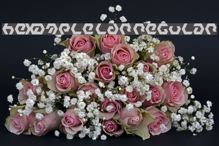 Hexample LDR Regular Example 3