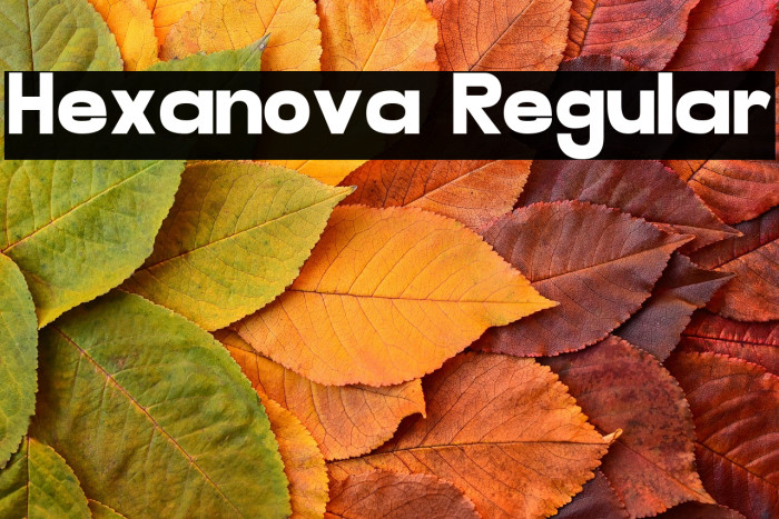 Hexanova Regular Example 2