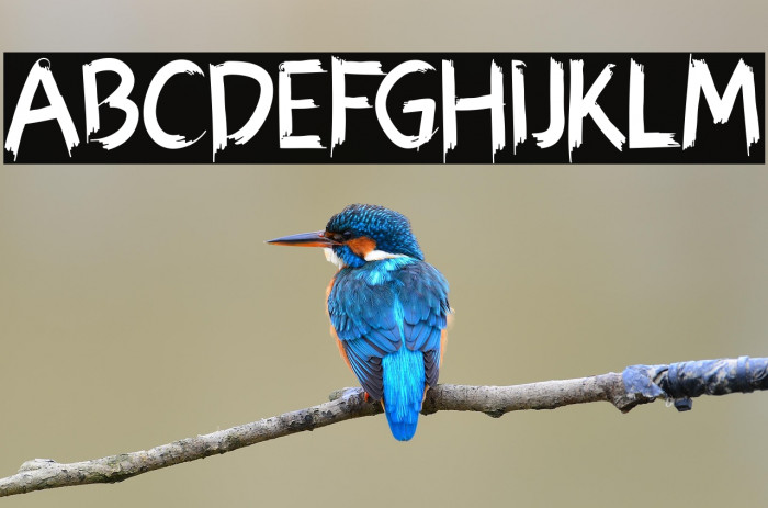 Hexen Bold Example 1