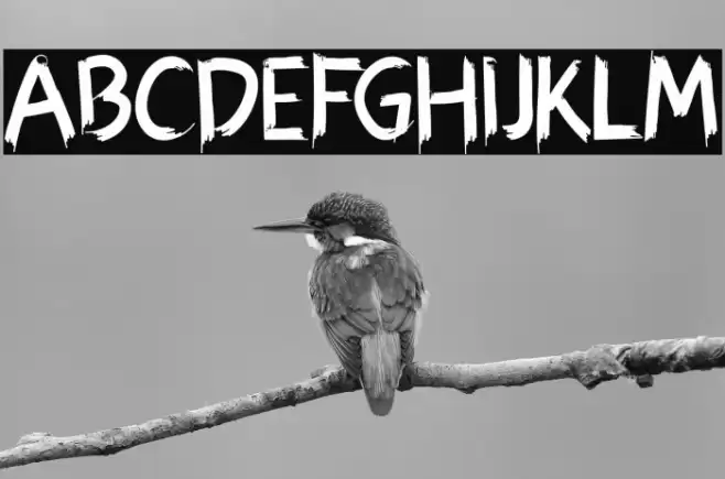 Hexen Bold Font examples