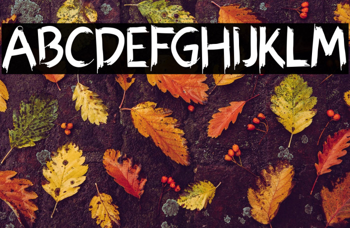 Hexen Bold Example 2